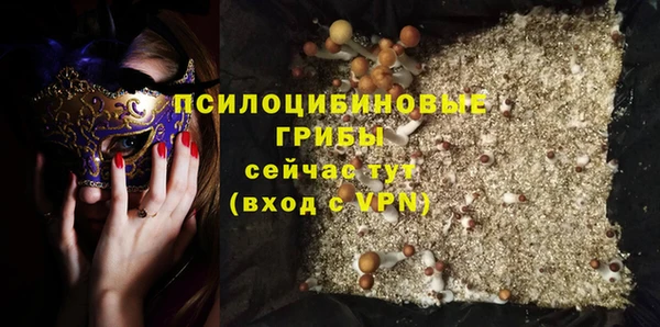 МДПВ Кодинск