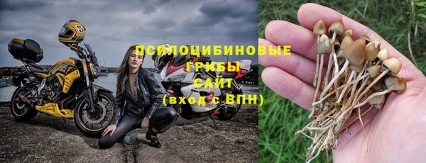 дживик Козловка