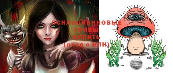 МДПВ Кодинск