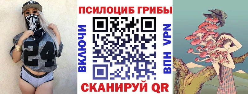 Купить закладки  Артёмовский  Галлюциногенные грибы Psilocybe 